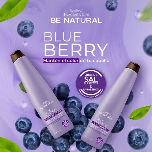 BLUEBERRY SILVER SHAMPOO
