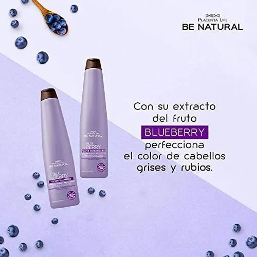 BLUEBERRY SILVER ACONDICIONADOR